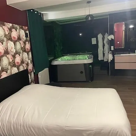 Le Fuchsia Unenuitametz Appartement Metz